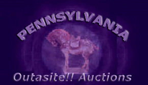 outasite_auctions_pennsylvania001002.jpg